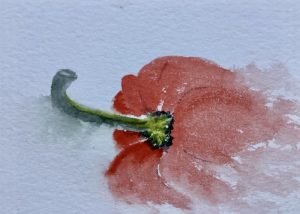 Paprika impressie